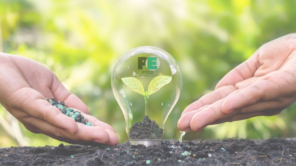 Denúncias Ambientais: A Chave para um Futuro Sustentável e Transparente