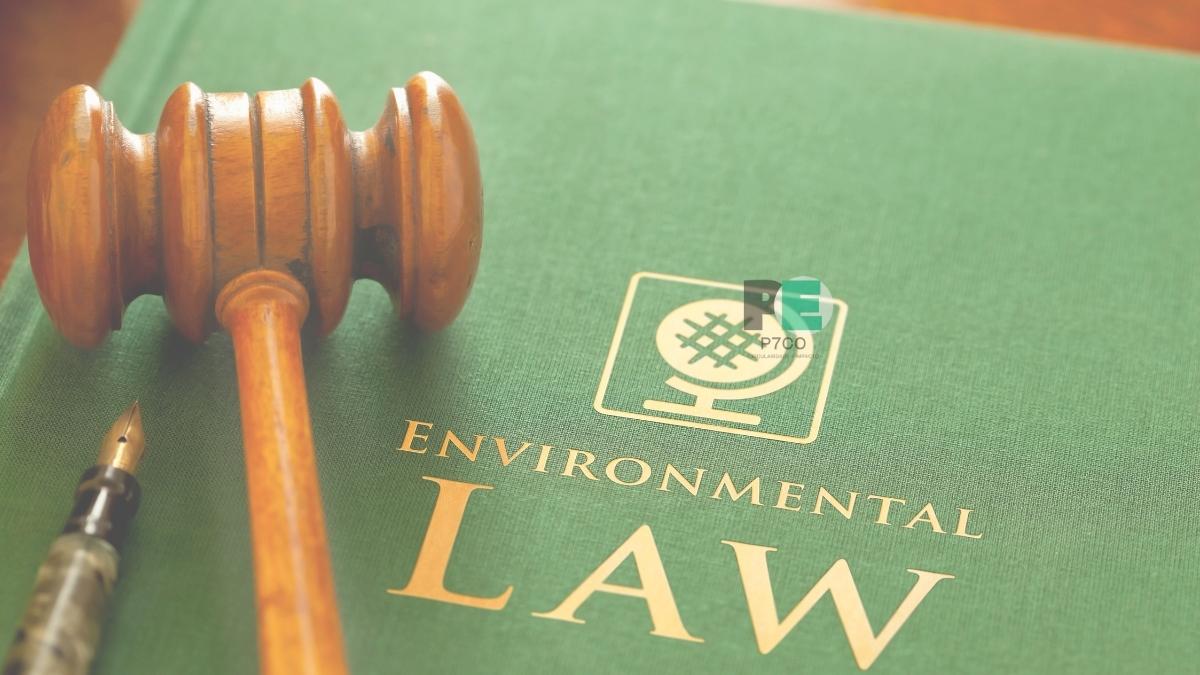 Legislação e Boas Práticas Ambientais: O Essencial para Empresas Circulares
